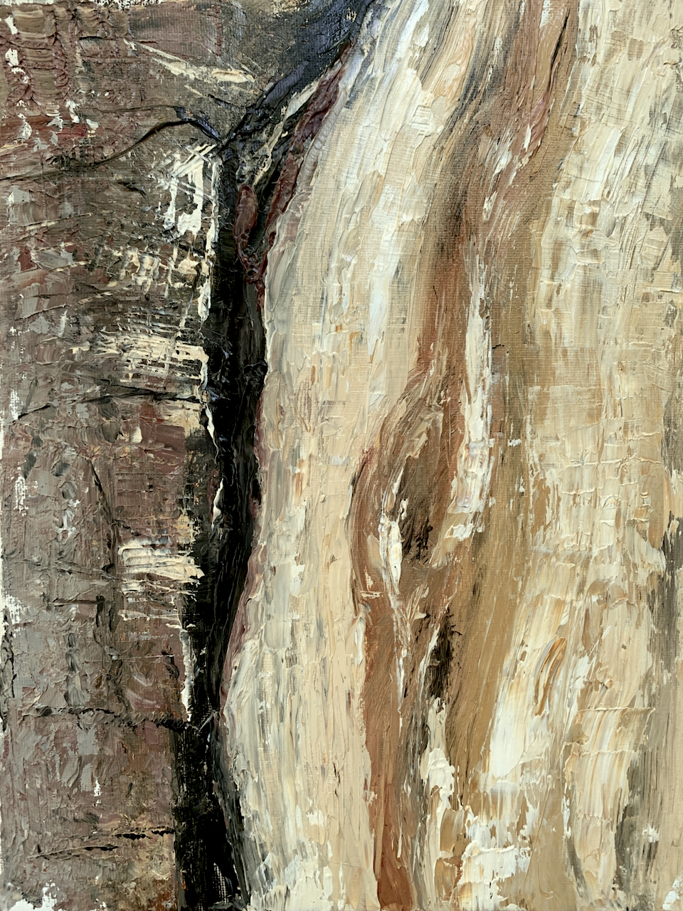 Bristlecone Pines